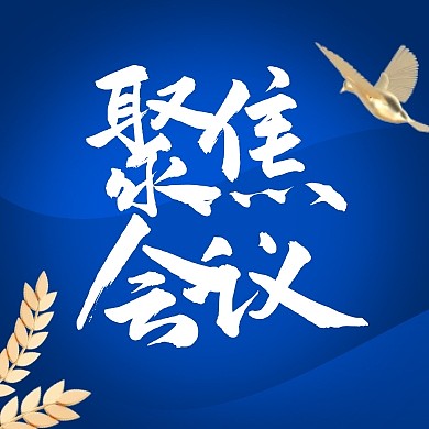 聚焦大会会议简报蓝金党政3d公众号次图