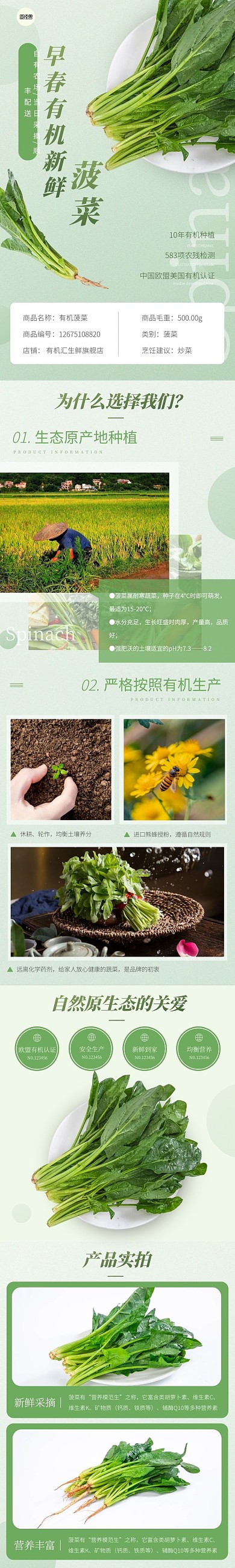 菠菜蔬菜简约清新绿色早春上新详情页