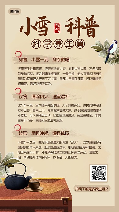 小雪科普养生节气中国风扁平手机海报