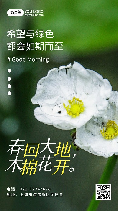 每日一签摄影风木棉花开春回大地早安日签