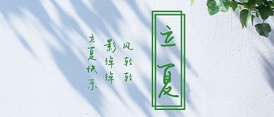 立夏白墙藤蔓光影简约公众号首图