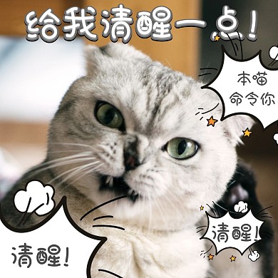 可爱猫咪搞笑表情包清醒一点