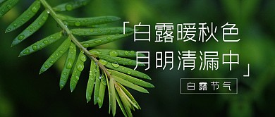 节气节日白露祝福公众号封面首图