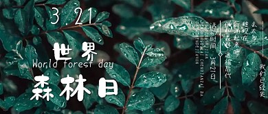 3.21世界森林日保护森林公众号