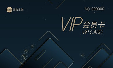 金融质感商务简约大气创意vip卡