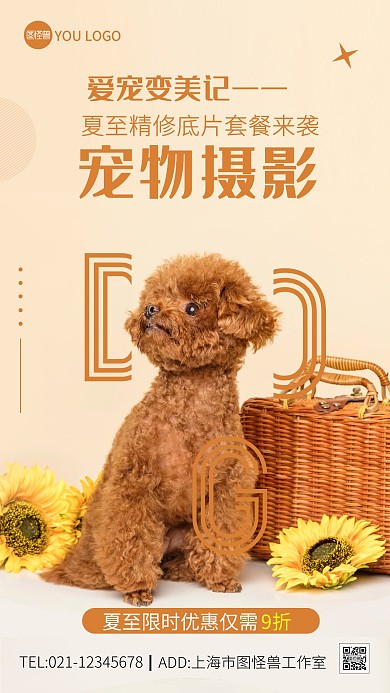 夏至宠物摄影橙色简约大气扁平摄影图海报