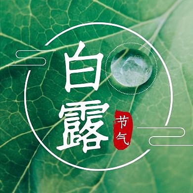 白露摄影风公众号封面次图
