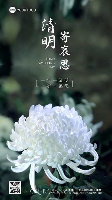 清明寄哀思宣传白色菊花摄影图海报
