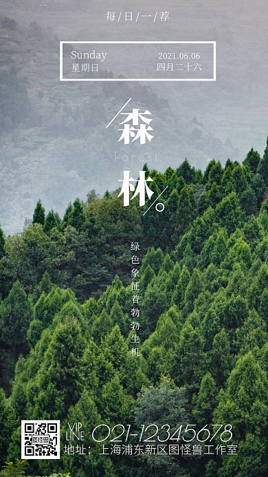 每日一荐森林绿色简约日签