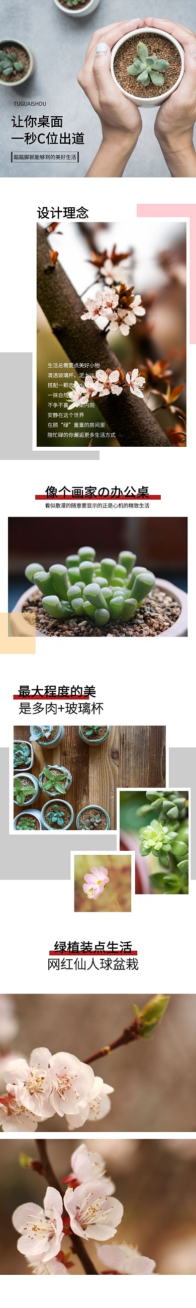 花艺多肉淘宝简约灰色详情页模板