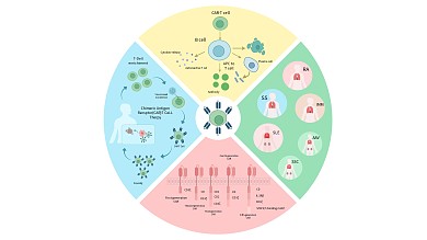 CAR-T 疗法与自身免疫性疾病