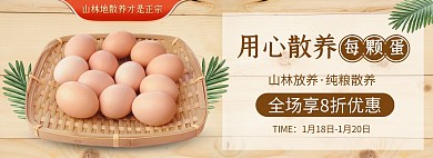 电商简约食品散养土鸡蛋促销海报