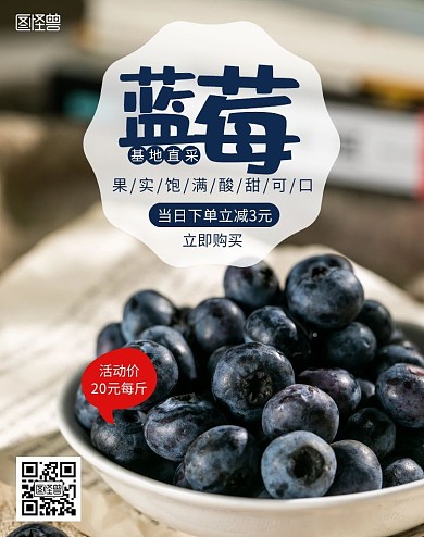 蓝莓简约深蓝轮播电商海报