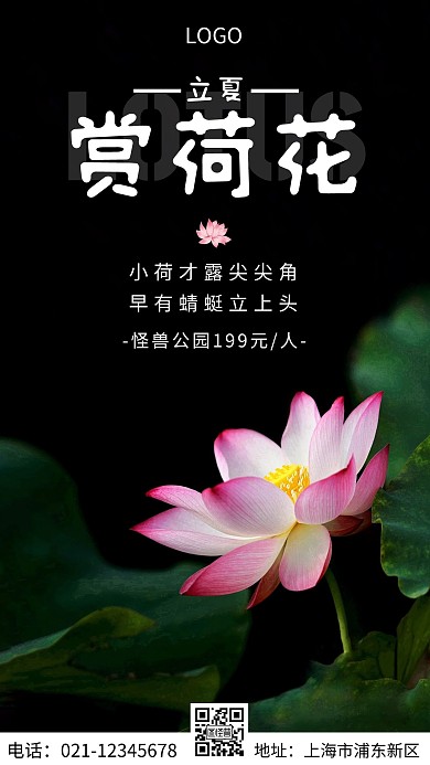 摄影图立夏赏荷花白色简约风摄影图海报