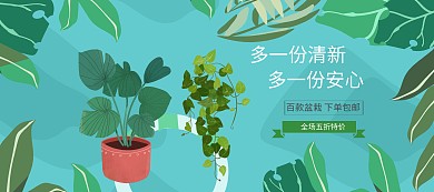 盆栽绿植植物盆栽盆景banner