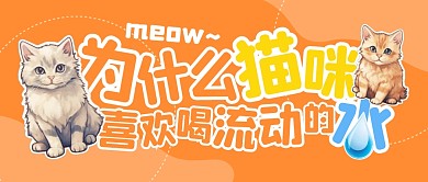 为什么猫咪喜欢喝流动的水公众号封面首图