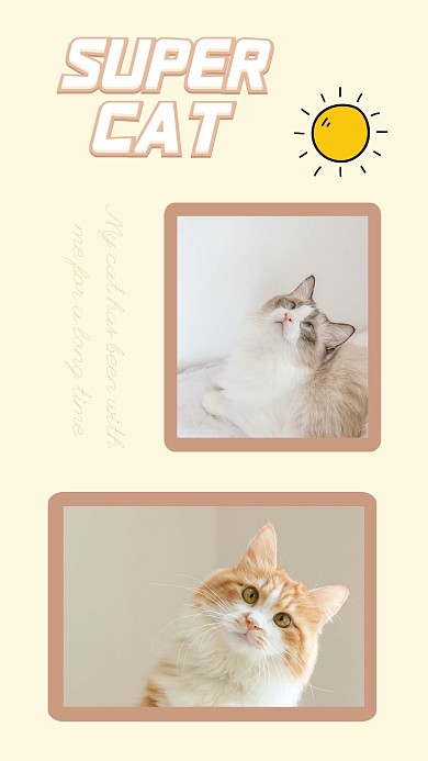 粉色宠物猫咪太阳框照片相册写真