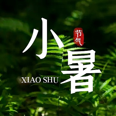 摄影叶子森林小暑节气祝福公众号封面次图