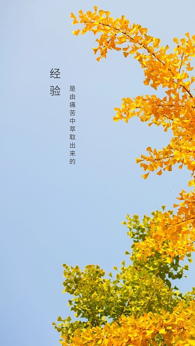绿色手机壁纸菩提树