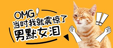 创意萌宠引人注目吸睛关注公众号封面首图