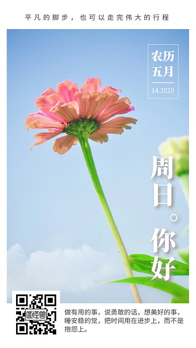白色简约清新周日你好类早安日签