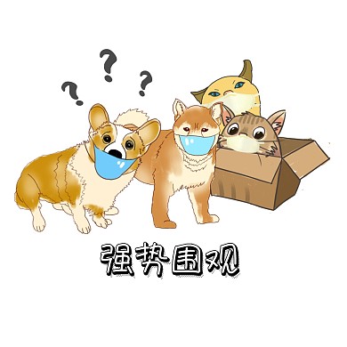 猫狗带口罩强势围观表情包