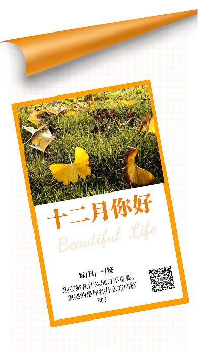 创意风简约日签十二月你好手机海报