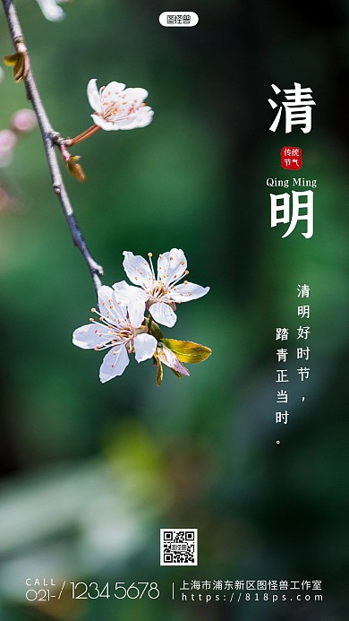 简约创意节气清明好时节踏青摄影图海报