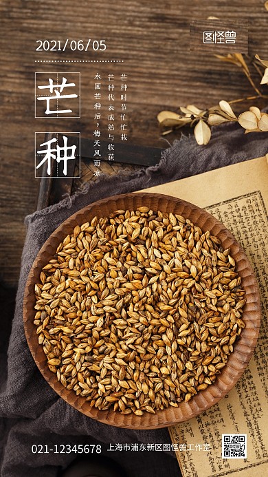 芒种时节日签传统中式简约摄影图海报