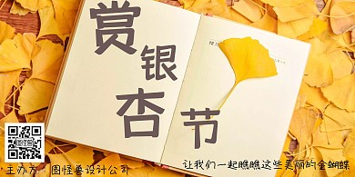 银杏黄色摄影赏银杏背景墙