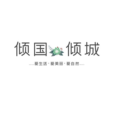 倾国倾城美容化妆品logo设计