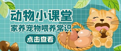 公众号封面动物小课堂通用宠物