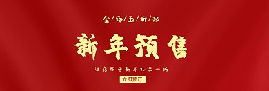 2019新年预售淘宝促销banner