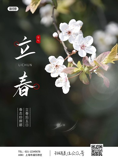 简约大气立春节气祝福海报