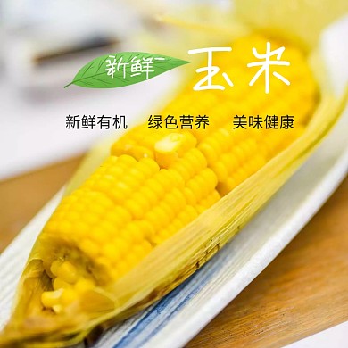 玉米主图 玉米五谷杂粮粗粮 五谷食品 新鲜玉米