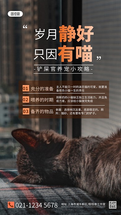 养宠攻略海报黑色简约摄影图海报