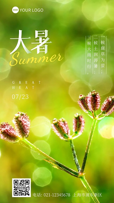 大暑节气三侯绿色摄影图海报