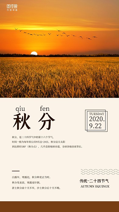 黄色丰收摄影图秋分传统节气手机海报