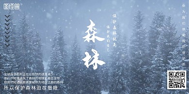 保护森林树木白色简约横板海报