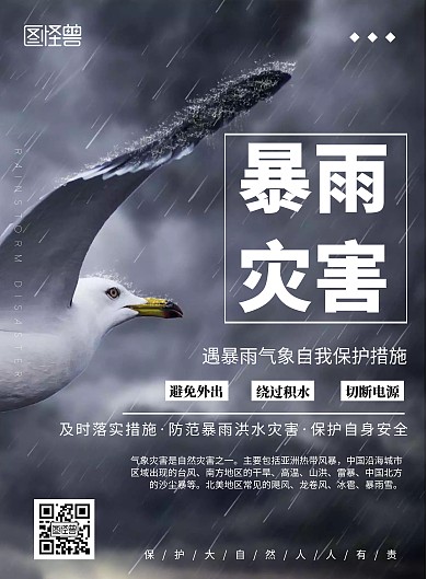 气象灾害暴雨天气简约黑色宣传海报