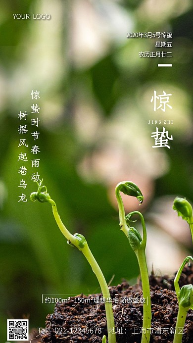 摄影图房地产惊蛰春天手机海报简约