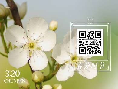 清新摄影植物花朵春分节气摄影关注二维码