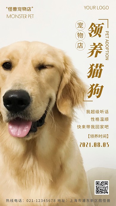 宠物门店领养猫狗黄色简约风摄影图海报