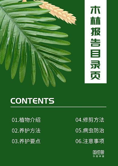 绿色植物叶子简约木林报告目录页