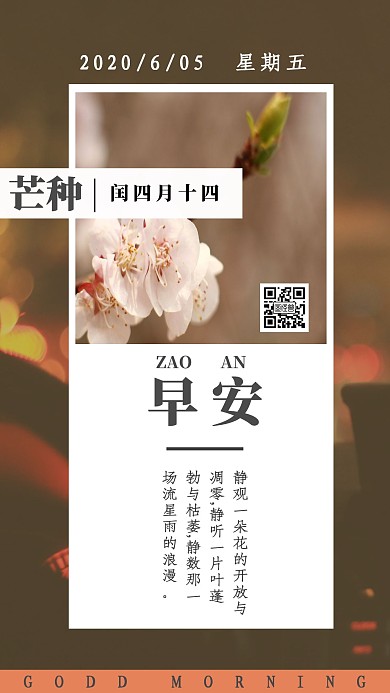 落花桃花早安图