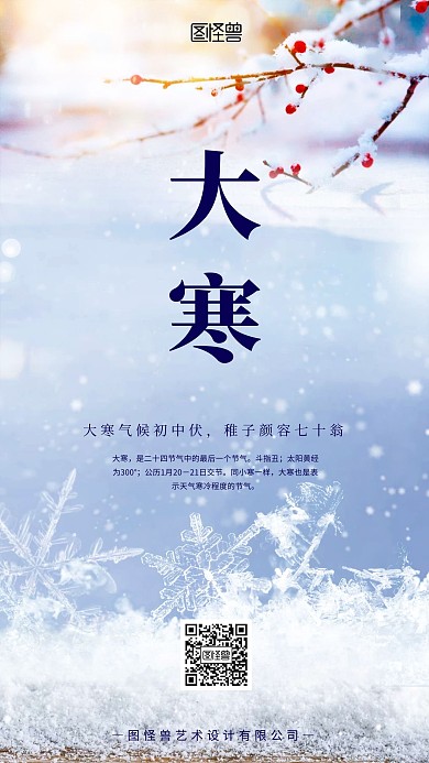 平面冬季大寒节气简约 手机海报