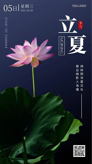 简约摄影清新早安立夏节气生活美好古诗日签