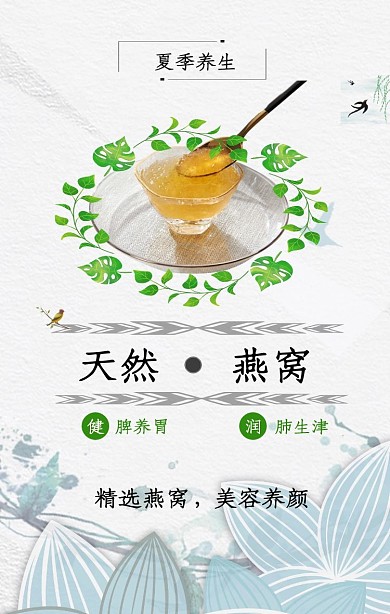 燕窝朋友圈海报燕子燕窝白色简约手机海报