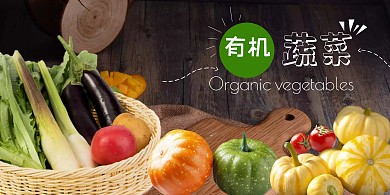 蔬菜背景墙绿色蔬菜简约有机蔬菜餐饮