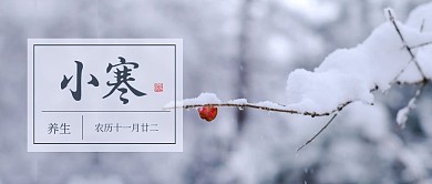摄影风小寒养生公众号首图